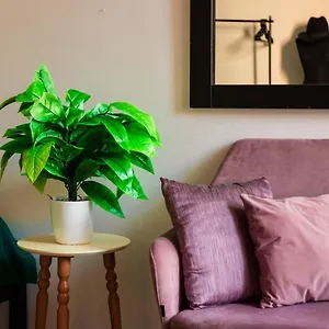  Apartment The Tropical House Albania